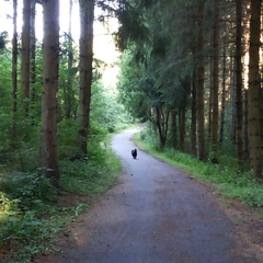 Urlaub im Schwarzwald (20)
